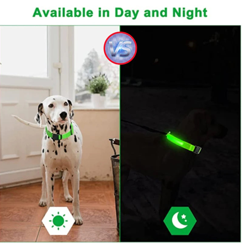 Collier Lumineux LED pour Chien et Chat – Rechargeable USB, Réglable et Sécurisé pour la Nuit
Assurez la sécurité de votre compagnon lors des promenades nocturnes avec ce collier lumineux LED. Conçu pour les petits et