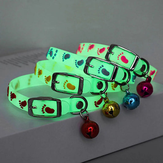 Collier lumineux pour chats et petits chiens – Silicone fluorescent avec clochette anti-perte